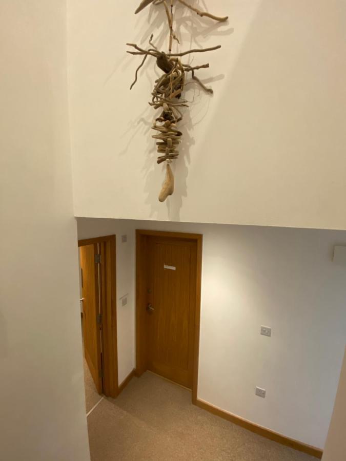 Ohana House - Unbeatable Location - Uk'S Best Beaches New Quay Kültér fotó